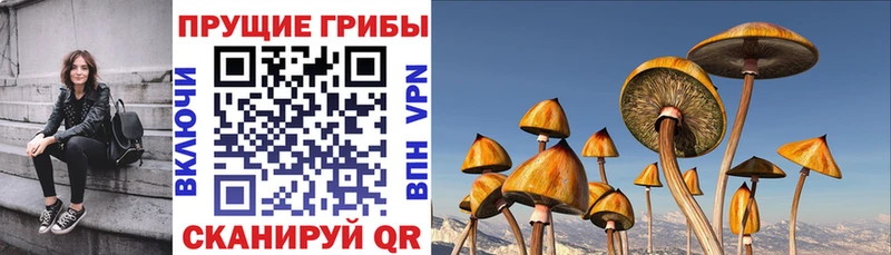 Псилоцибиновые грибы Psilocybine cubensis Янаул